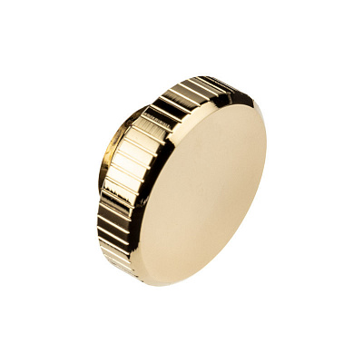 EK-Quantum Torque Plug - Gold