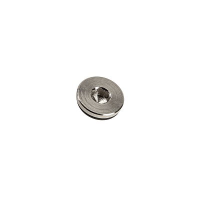 EK-PLUG G1/4